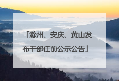 滁州、安庆、黄山发布干部任前公示公告