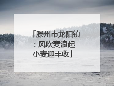 滕州市龙阳镇：风吹麦浪起 小麦迎丰收