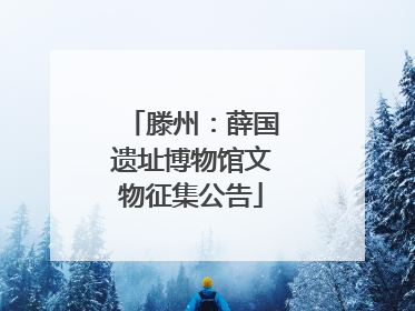 滕州：薛国遗址博物馆文物征集公告
