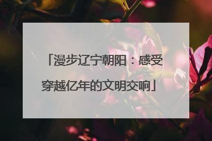漫步辽宁朝阳：感受穿越亿年的文明交响