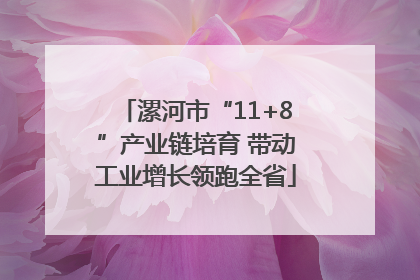 漯河市“11+8”产业链培育 带动工业增长领跑全省