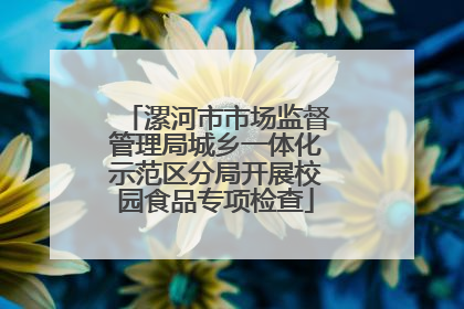 漯河市市场监督管理局城乡一体化示范区分局开展校园食品专项检查