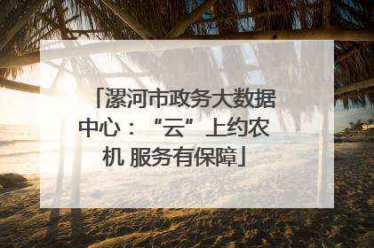 漯河市政务大数据中心：“云”上约农机 服务有保障