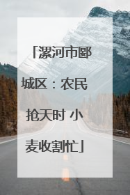 漯河市郾城区：农民抢天时 小麦收割忙
