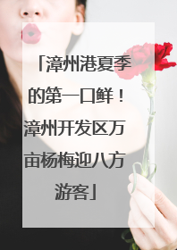漳州港夏季的第一口鲜！漳州开发区万亩杨梅迎八方游客
