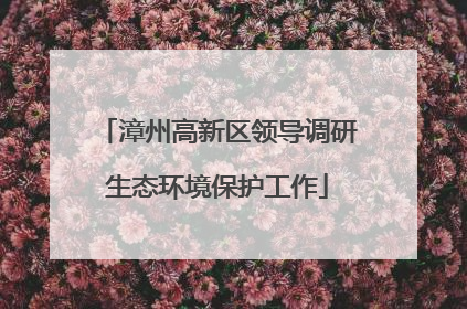 漳州高新区领导调研生态环境保护工作