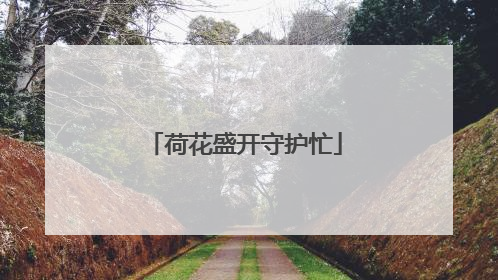 荷花盛开守护忙