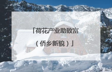 荷花产业助致富（侨乡新貌）