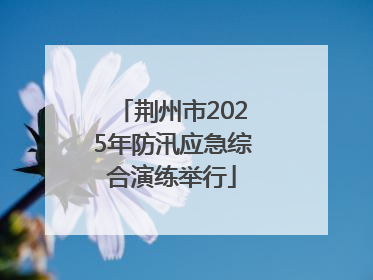 荆州市2025年防汛应急综合演练举行
