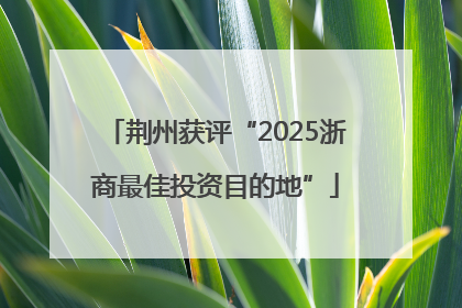 荆州获评“2025浙商最佳投资目的地”