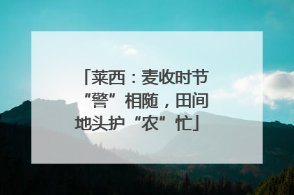 莱西：麦收时节“警”相随，田间地头护“农”忙