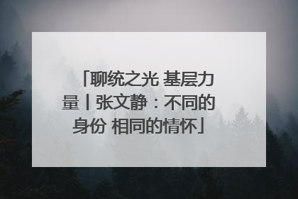 聊统之光 基层力量丨张文静：不同的身份 相同的情怀