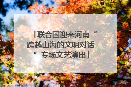 联合国迎来河南“跨越山海的文明对话”专场文艺演出