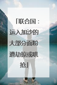 联合国：运入加沙的大部分面粉遭劫掠或哄抢