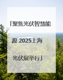 聚焦光伏智慧能源 2025上海光伏展举行