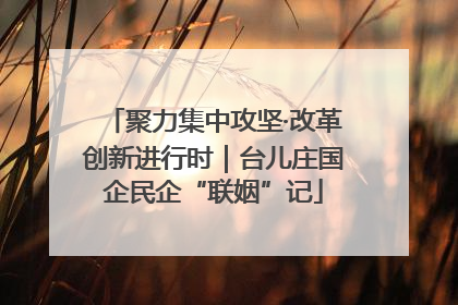 聚力集中攻坚·改革创新进行时｜台儿庄国企民企“联姻”记