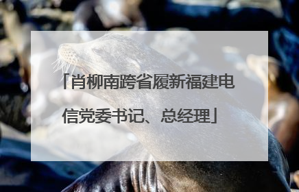 肖柳南跨省履新福建电信党委书记、总经理