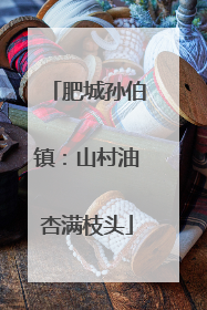 肥城孙伯镇：山村油杏满枝头