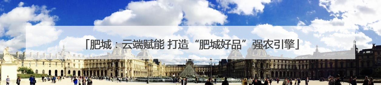 肥城：云端赋能 打造“肥城好品”强农引擎