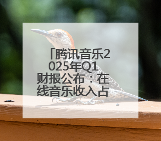 腾讯音乐2025年Q1财报公布：在线音乐收入占比近8成