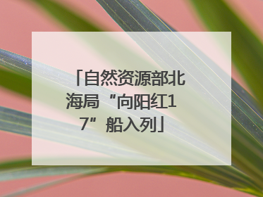 自然资源部北海局“向阳红17”船入列