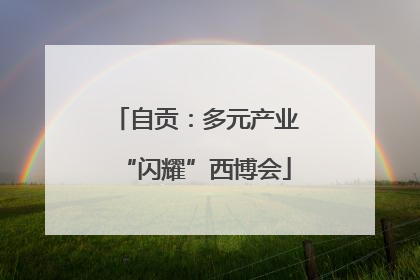 自贡：多元产业“闪耀”西博会