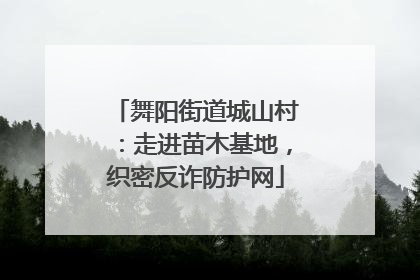 舞阳街道城山村：走进苗木基地，织密反诈防护网