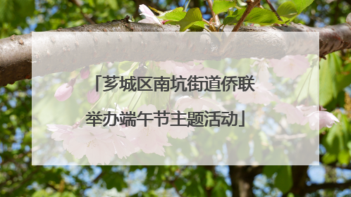 芗城区南坑街道侨联举办端午节主题活动