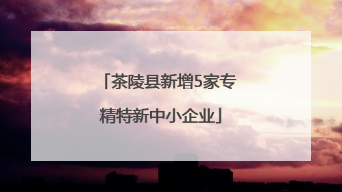 茶陵县新增5家专精特新中小企业