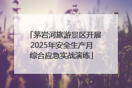 茅岩河旅游景区开展2025年安全生产月综合应急实战演练