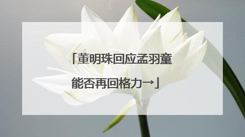 董明珠回应孟羽童能否再回格力→