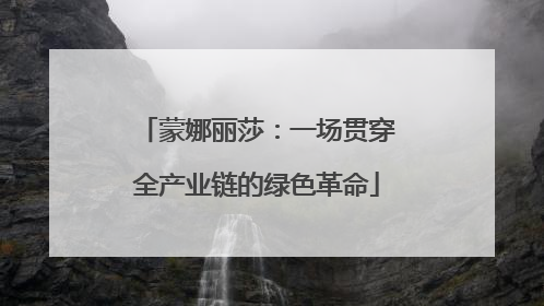 蒙娜丽莎：一场贯穿全产业链的绿色革命