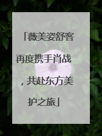 薇美姿舒客再度携手肖战，共赴东方美护之旅