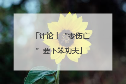 评论丨“零伤亡”要下笨功夫