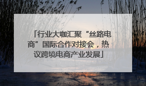 行业大咖汇聚“丝路电商”国际合作对接会，热议跨境电商产业发展