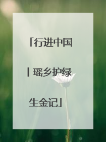 行进中国丨瑶乡护绿生金记