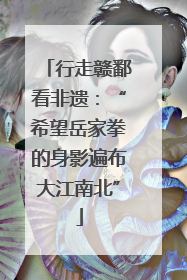 行走赣鄱看非遗：“希望岳家拳的身影遍布大江南北”