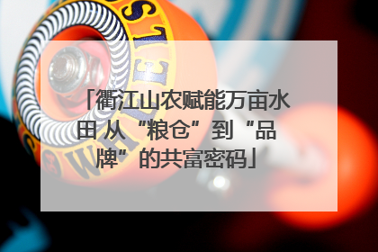 衢江山农赋能万亩水田 从“粮仓”到“品牌”的共富密码