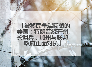 被移民争端撕裂的美国：特朗普绕开州长调兵，加州与联邦政府正面对抗