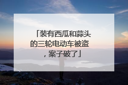 装有西瓜和蒜头的三轮电动车被盗，案子破了
