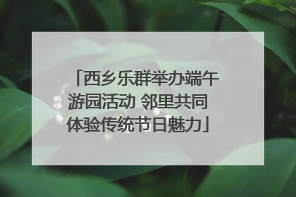 西乡乐群举办端午游园活动 邻里共同体验传统节日魅力