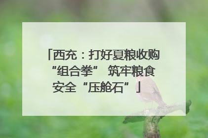 西充：打好夏粮收购“组合拳” 筑牢粮食安全“压舱石”