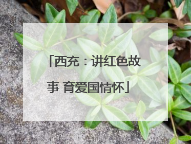 西充：讲红色故事 育爱国情怀