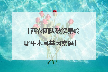 西农团队破解秦岭野生木耳基因密码