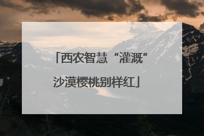 西农智慧“灌溉” 沙漠樱桃别样红
