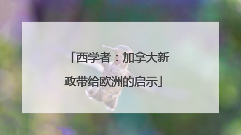 西学者：加拿大新政带给欧洲的启示