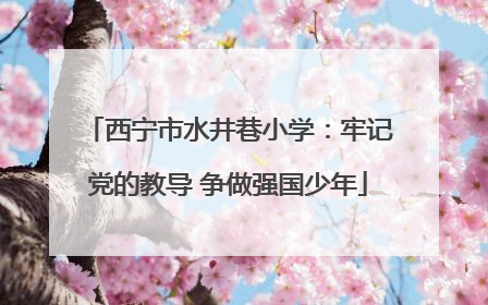 西宁市水井巷小学：牢记党的教导 争做强国少年