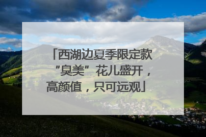 西湖边夏季限定款“臭美”花儿盛开，高颜值，只可远观