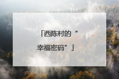 西陈村的“幸福密码”