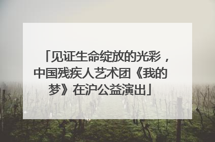 见证生命绽放的光彩，中国残疾人艺术团《我的梦》在沪公益演出